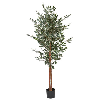 167cm Faux Ficus Tree in Planter