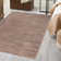 Indoor Rug