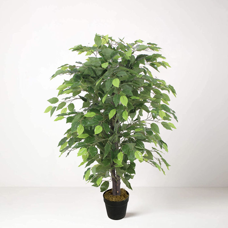 Tradala Trees 90cm Faux Ficus Tree in Pot, Black