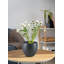  Pot à fleurs en aluminium noir Avira