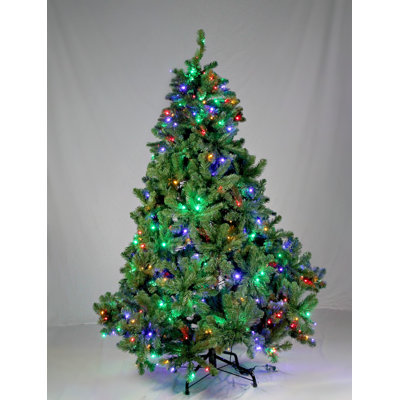 Arbre de Noël pin 6 pi Lite