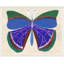 Butterfly Blue Print by Paule Marrot-626232891-626232864