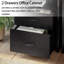 Jayger Industrial Bookcase with File Cabinet Drawers-393054573-393652140