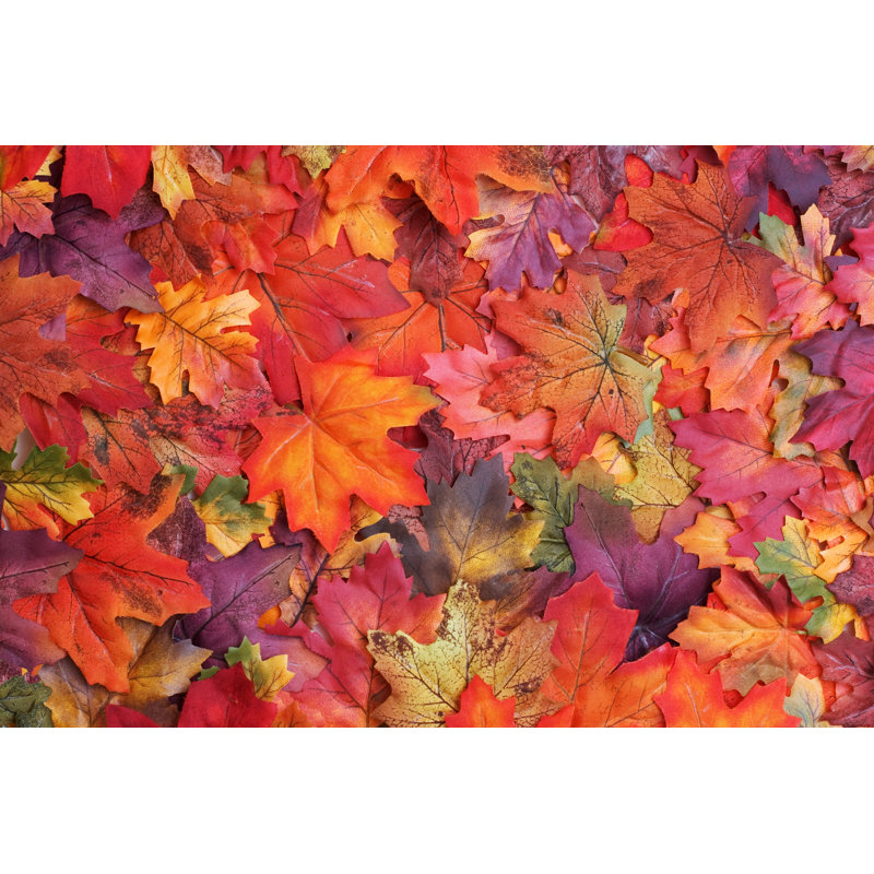 Fall Leaves - Wrapped Canvas Print, 61cm H x 91cm W