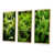 Cadre naturel flottant
