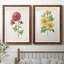 Botanical III - ensemble de 2 reproductions d'art-168997587-168997419-168997597