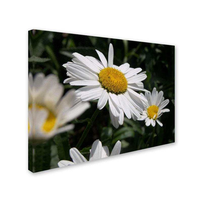 Dominating Beauty White and Yellow Floral Canvas Art