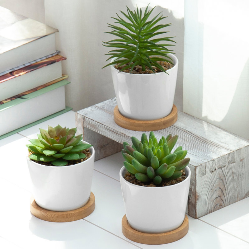 Ensemble de 3 plantes grasses artificielles en pot