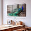 «Elegant Blue Peacock» sur toile-1363455295