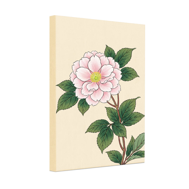 Plantes et fleurs fleur rose avec feuilles vertes sur fond crème, H 30 po x l 20 po