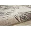 Gleam Area Rug in Ivory/Gray-1299898589