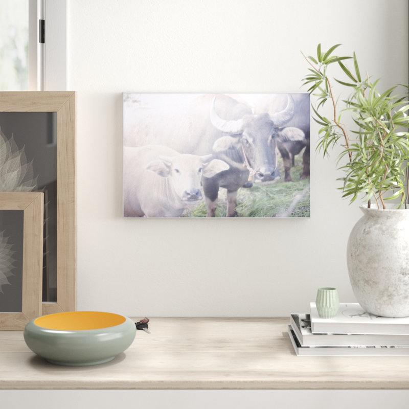 Parvez Taj - Single Picture Frame Print, 41cm H x 61cm W x 3.81cm D