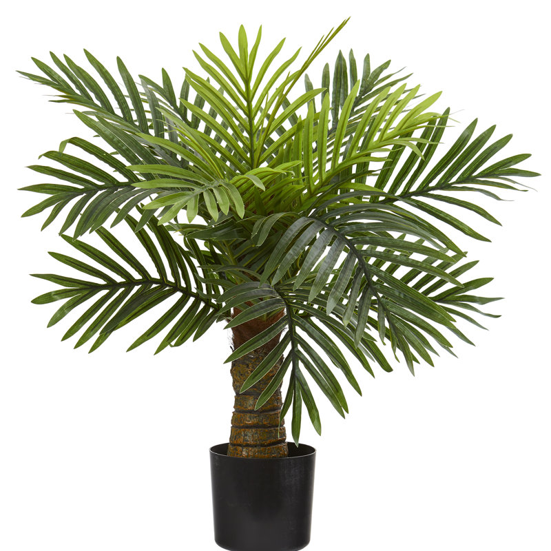 Faux Palm Tree in Pot Liner, 26" H x 22" W x 19" D