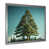 Silver Single Picture Framed selected