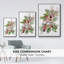Cardinal Holly Christmas Collection B-1653972442-1653972435