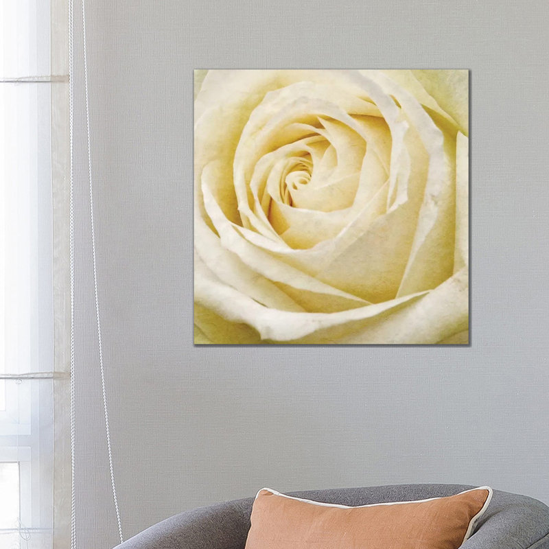 Wall Flower III by Alonzo Saunders - Wrapped Canvas Print, 66.04 cm H x 66.04 cm W x 1.91 cm D
