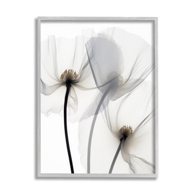 Az-479 - Coquelicots blancs modernes encadrés sur toile par Irena Orlov