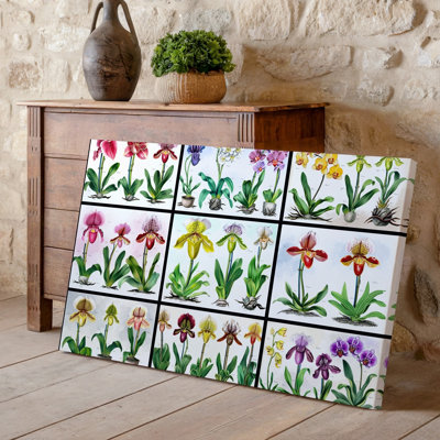 Canvas A Vibrant Collage Of Various Orchids Arranged In A Grid Wall Art Format Showcasing A Diverse Array Of Colors Including Shades Canvas Wall Art