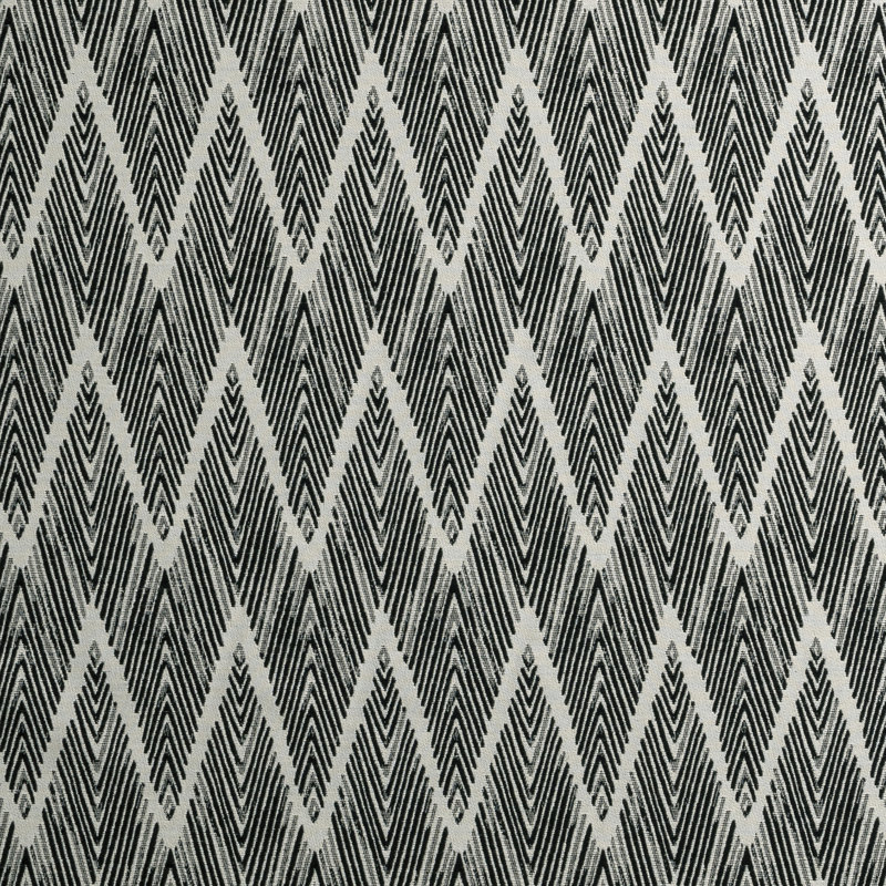 Bw1022 - Black/White Fabric