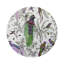 Sous-verres Audubon Exotica-119015202