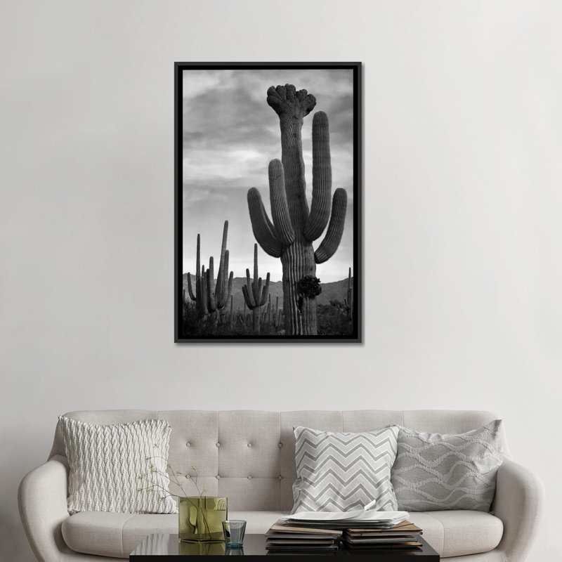 Saguaros, Saguaro National Monument par - impression, Toile avec cadre noir, Pas de tapis, H 48 po x l 32 po x P 1,5 po