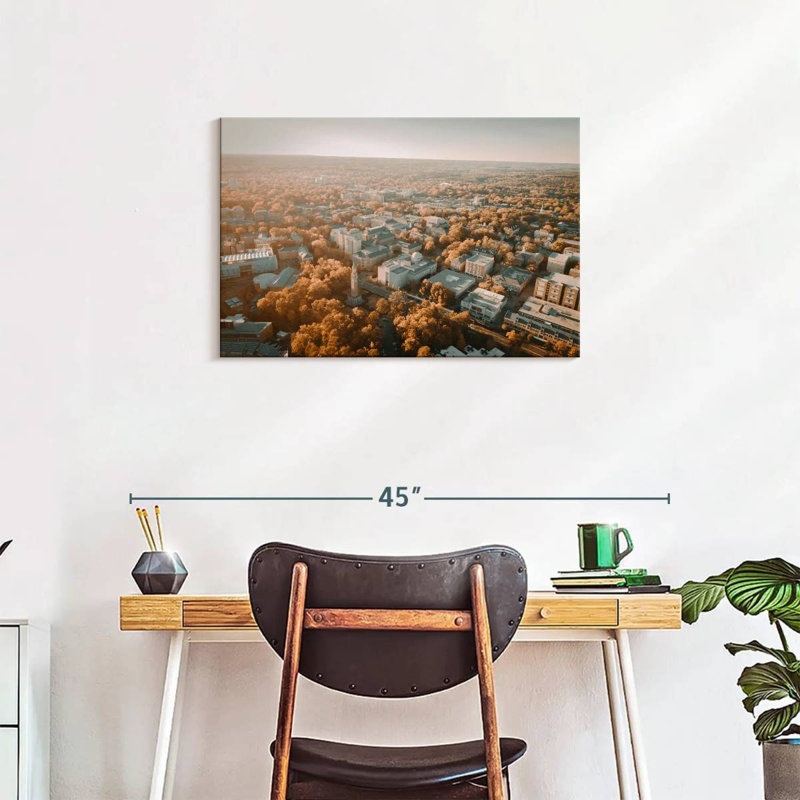 Harpa UNC Campus Aerial View, 20" H x 30" W
