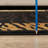 7 Ft. 10 In. X 10 Ft. 3 In. Animal Print Area Rug-1930772556