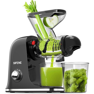 Efficient Juicer by SIFENE, 2-Speed, Stainless Steel, Slow Masticating, Cold Press