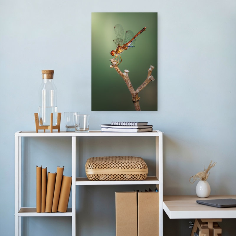 Vibrant Dragonfly Perch Contemporary Dragonfly Wall Art Print 1 Piece Wrapped Canvas Wall Art, 45.72cm H x 30.48cm W