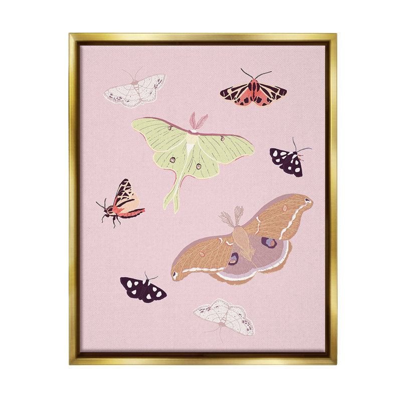 "Varied Moth" sur toile, Cadre flottant métallique doré, H 21 po x l 17 po