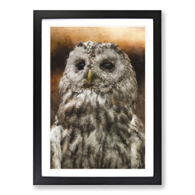 Tawny Owl Vol.1 - Picture Frame Graphic Art, Black, 36cm H x 27cm W x 2cm D