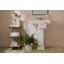 Rosy Check Glass Vanity Tray