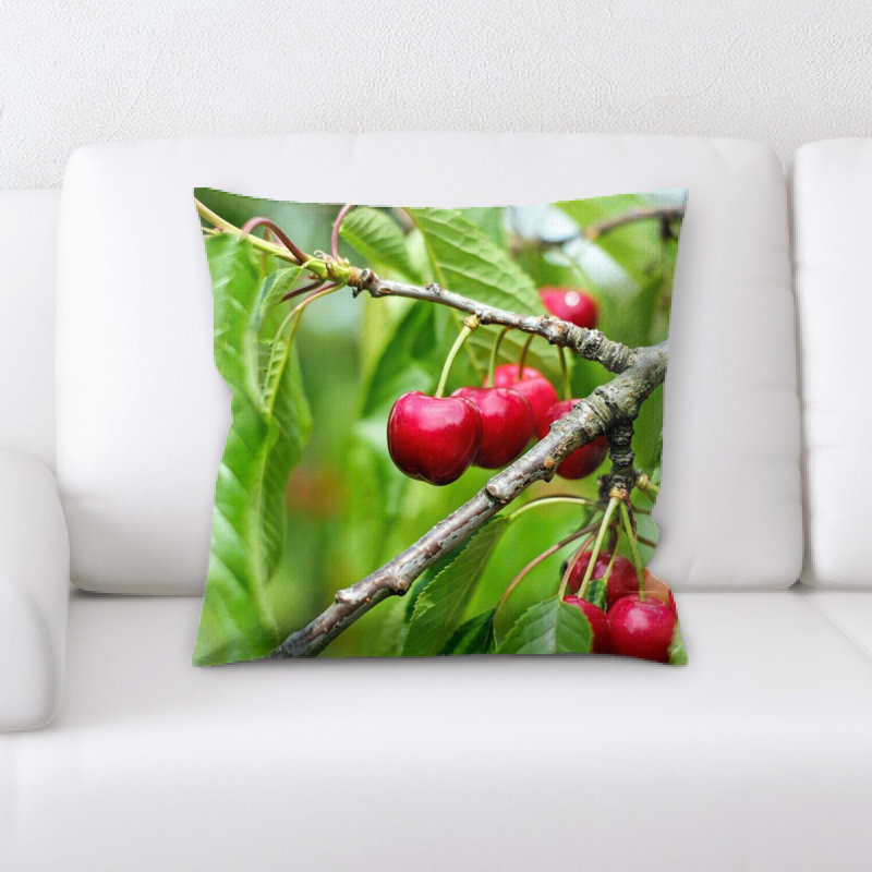 Coussin cerise