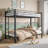 Acacius Kids Twin Bunk Bed