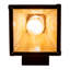 Dashiell 1 - Light Armed Sconce