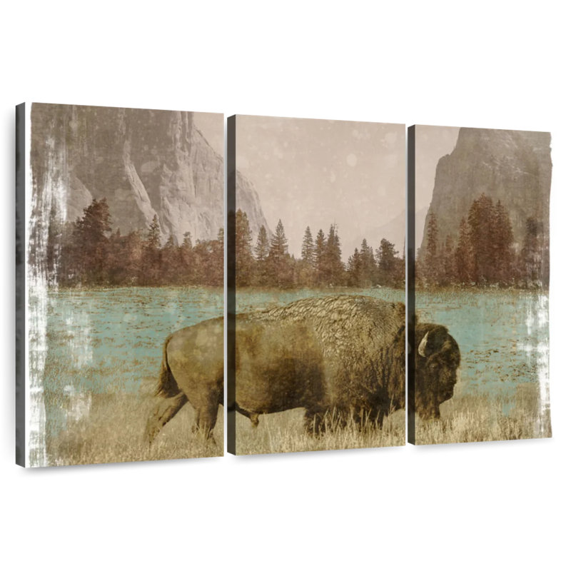 Bison dans le parc