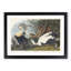 Eider Duck by John Audubon - Picture Frame Painting Print-55539728-55539724