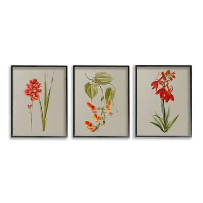 «Woodland Flower Study» par Vision Studio 3 - Pièces sur toile