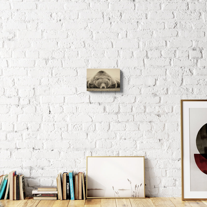 «Hackworth Deep Sleep» par PHBurchett - photographie sur toile, H 8 po x l 12 po, Toile tendue, Sans cadre
