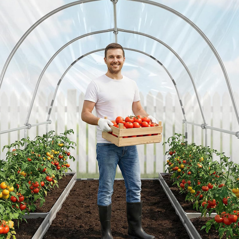 Walk-in Tunnel Greenhouse , Galvanized Steel Frame And Waterproof Uv-resistant Cover For Outdoor Plant Growth & Gardening