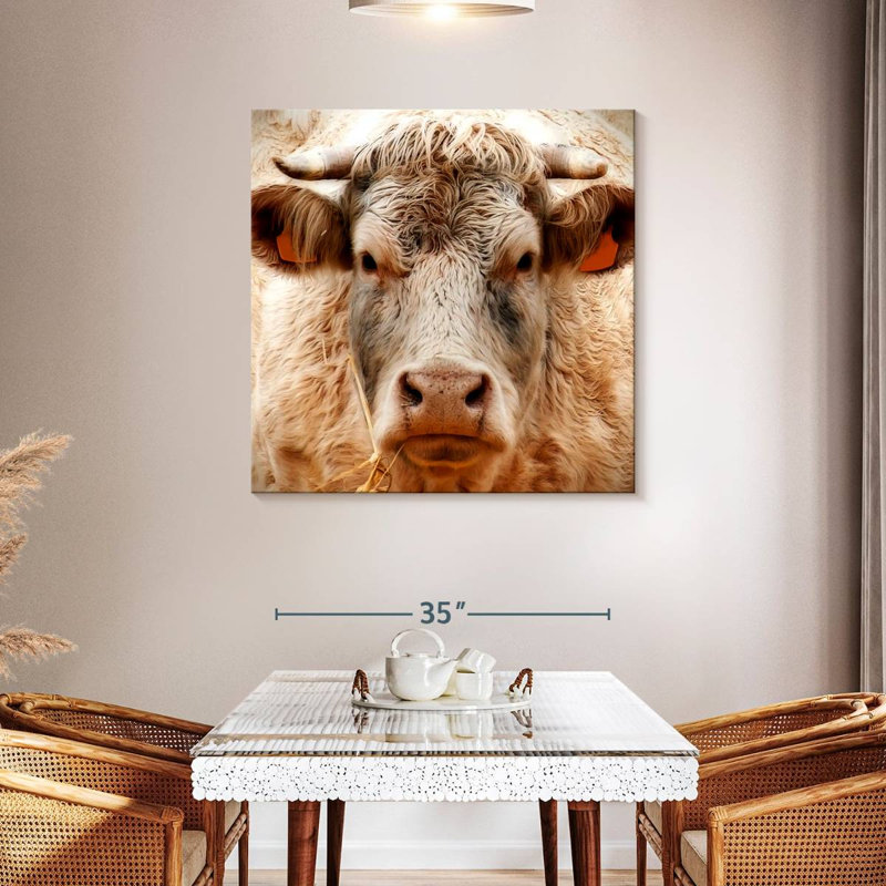 Brampt Mighty Bull, 30" H x 30" W