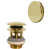 Polished Brass