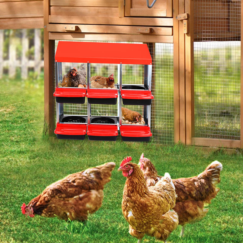 Boîte de nidification pour poulets 6 poules en métal pondeuses avec plateaux amovibles pour poulailler en acier galvanisé rouge