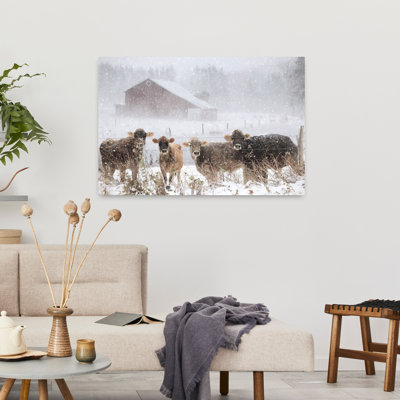 Vaches froides à la ferme, art abstrait contemporain de vache