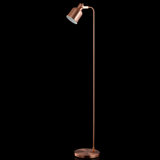 Kathie 57'' Copper Task Floor Lamp