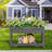 High-Density Polyethylene Elevated Planter-428315759