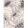 Tavon Floral Indoor Rug