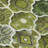 Machine Washable Indoor/Outdoor Chantille ACN2878 Lattice Rug-1653500345-1653500351