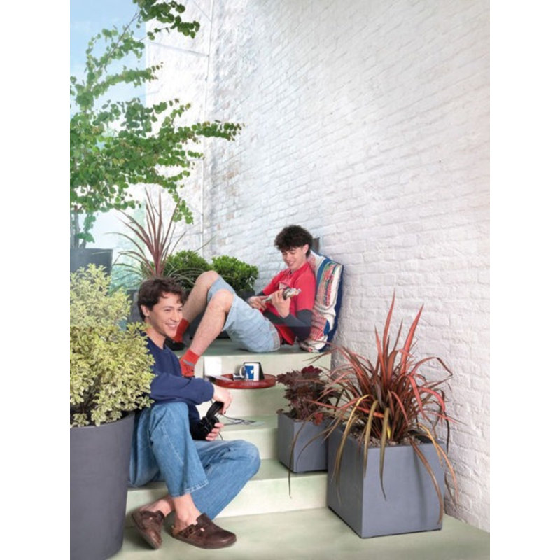 Millennium Planter Box