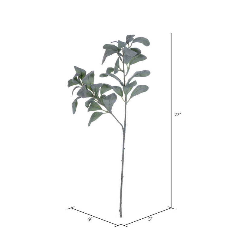 27 plantes